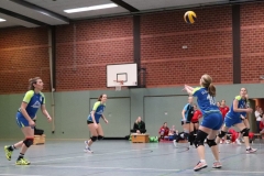 IMG_7919 (2)