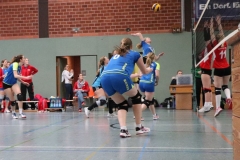 IMG_7936 (2)