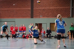 IMG_8014 (2)