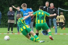 ofen-e1-sczw-201902