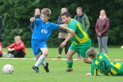 ofen-e1-sczw-201903