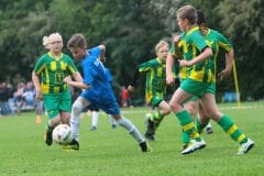 ofen-e1-sczw-201906
