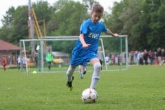 ofen-e1-sczw-201907