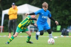 ofen-e1-sczw-201908