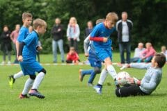 ofen-e1-sczw-201916