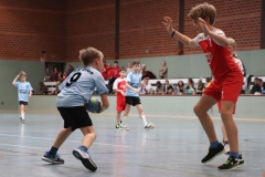VolleyHandbball-E-Jgd20191110002 VolleyHandbball-E-Jgd20191110002