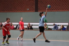 VolleyHandbball-E-Jgd20191110003 VolleyHandbball-E-Jgd20191110003