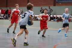 VolleyHandbball-E-Jgd20191110004 VolleyHandbball-E-Jgd20191110004
