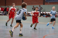 VolleyHandbball-E-Jgd20191110004