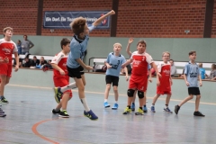 VolleyHandbball-E-Jgd20191110005 VolleyHandbball-E-Jgd20191110005