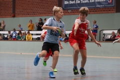 VolleyHandbball-E-Jgd20191110007 VolleyHandbball-E-Jgd20191110007