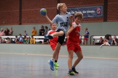 VolleyHandbball-E-Jgd20191110008 VolleyHandbball-E-Jgd20191110008