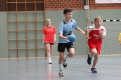 VolleyHandbball-E-Jgd20191110009 VolleyHandbball-E-Jgd20191110009