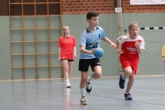 VolleyHandbball-E-Jgd20191110009