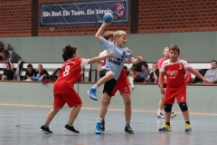 VolleyHandbball-E-Jgd20191110010 VolleyHandbball-E-Jgd20191110010