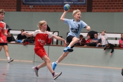VolleyHandbball-E-Jgd20191110011 VolleyHandbball-E-Jgd20191110011