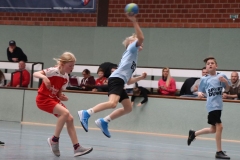 VolleyHandbball-E-Jgd20191110012 VolleyHandbball-E-Jgd20191110012