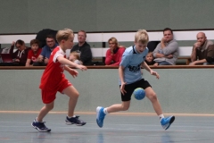 VolleyHandbball-E-Jgd20191110013 VolleyHandbball-E-Jgd20191110013