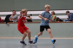VolleyHandbball-E-Jgd20191110014 VolleyHandbball-E-Jgd20191110014