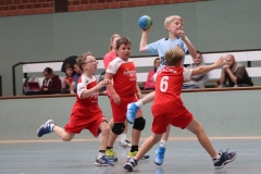 VolleyHandbball-E-Jgd20191110015 VolleyHandbball-E-Jgd20191110015