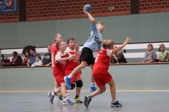 VolleyHandbball-E-Jgd20191110016 VolleyHandbball-E-Jgd20191110016
