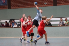 VolleyHandbball-E-Jgd20191110016