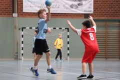 VolleyHandbball-E-Jgd20191110018 VolleyHandbball-E-Jgd20191110018