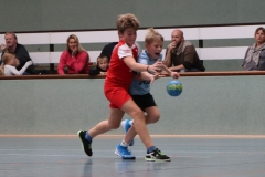 VolleyHandbball-E-Jgd20191110020 VolleyHandbball-E-Jgd20191110020