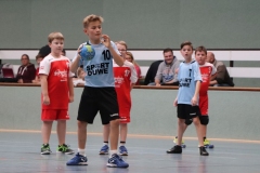 VolleyHandbball-E-Jgd20191110021 VolleyHandbball-E-Jgd20191110021