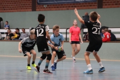 VolleyHandbball-E-Jgd20191110022 VolleyHandbball-E-Jgd20191110022