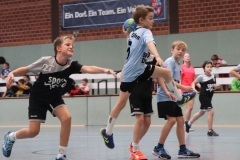 VolleyHandbball-E-Jgd20191110024 VolleyHandbball-E-Jgd20191110024