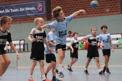 VolleyHandbball-E-Jgd20191110025 VolleyHandbball-E-Jgd20191110025
