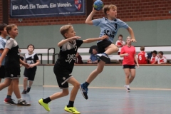 VolleyHandbball-E-Jgd20191110026 VolleyHandbball-E-Jgd20191110026