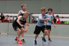 VolleyHandbball-E-Jgd20191110027 VolleyHandbball-E-Jgd20191110027