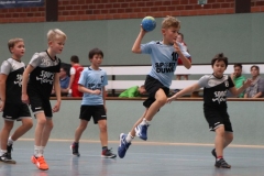 VolleyHandbball-E-Jgd20191110028 VolleyHandbball-E-Jgd20191110028