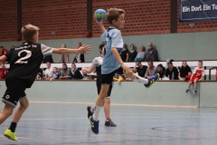 VolleyHandbball-E-Jgd20191110029 VolleyHandbball-E-Jgd20191110029