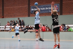 VolleyHandbball-E-Jgd20191110031 VolleyHandbball-E-Jgd20191110031
