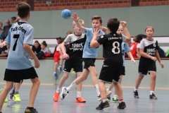 VolleyHandbball-E-Jgd20191110032 VolleyHandbball-E-Jgd20191110032