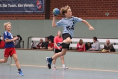 VolleyHandbball-E-Jgd20191110034 VolleyHandbball-E-Jgd20191110034