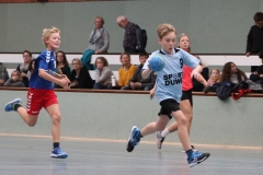 VolleyHandbball-E-Jgd20191110035 VolleyHandbball-E-Jgd20191110035
