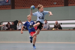 VolleyHandbball-E-Jgd20191110036 VolleyHandbball-E-Jgd20191110036