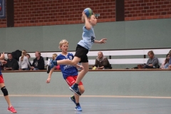 VolleyHandbball-E-Jgd20191110037 VolleyHandbball-E-Jgd20191110037