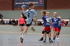 VolleyHandbball-E-Jgd20191110038 VolleyHandbball-E-Jgd20191110038