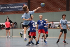 VolleyHandbball-E-Jgd20191110039 VolleyHandbball-E-Jgd20191110039