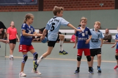 VolleyHandbball-E-Jgd20191110040 VolleyHandbball-E-Jgd20191110040