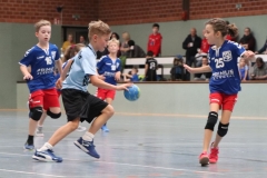 VolleyHandbball-E-Jgd20191110041 VolleyHandbball-E-Jgd20191110041