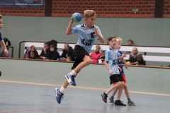 VolleyHandbball-E-Jgd20191110043 VolleyHandbball-E-Jgd20191110043