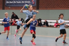 VolleyHandbball-E-Jgd20191110044 VolleyHandbball-E-Jgd20191110044