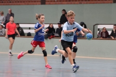 VolleyHandbball-E-Jgd20191110045 VolleyHandbball-E-Jgd20191110045