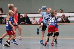 VolleyHandbball-E-Jgd20191110046 VolleyHandbball-E-Jgd20191110046